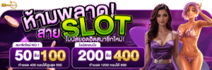 megaplay888 ฝากถอนทรูวอลเล็ต ออโต้ ไม่มีขั้นต่ำ รวดเร็วปลอดภัย
